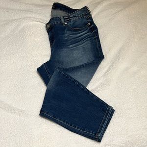 Torrid Jeans Size 22R Skinny